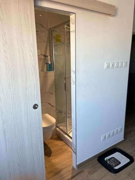 Super Studio En Face De La Gare De Mulhouse Appartement Buitenkant foto